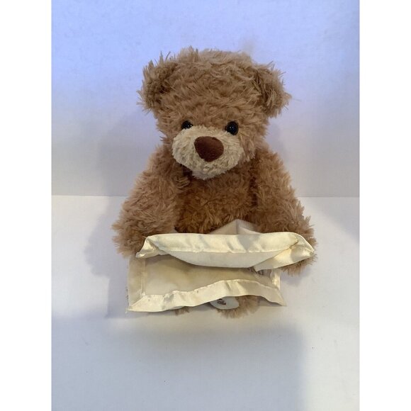 Baby GUND Peek-A-Boo Teddy Bear Animated Stuffed Animal Plush Toy Tested Works - Picture 1 of 6